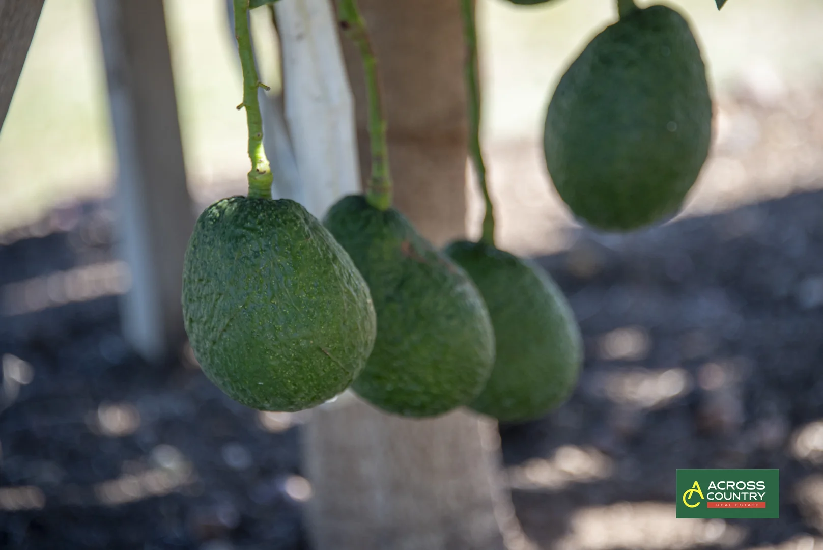 Additional image 38 of 18 Steinhardts Road, Moffatdale QLD 4605