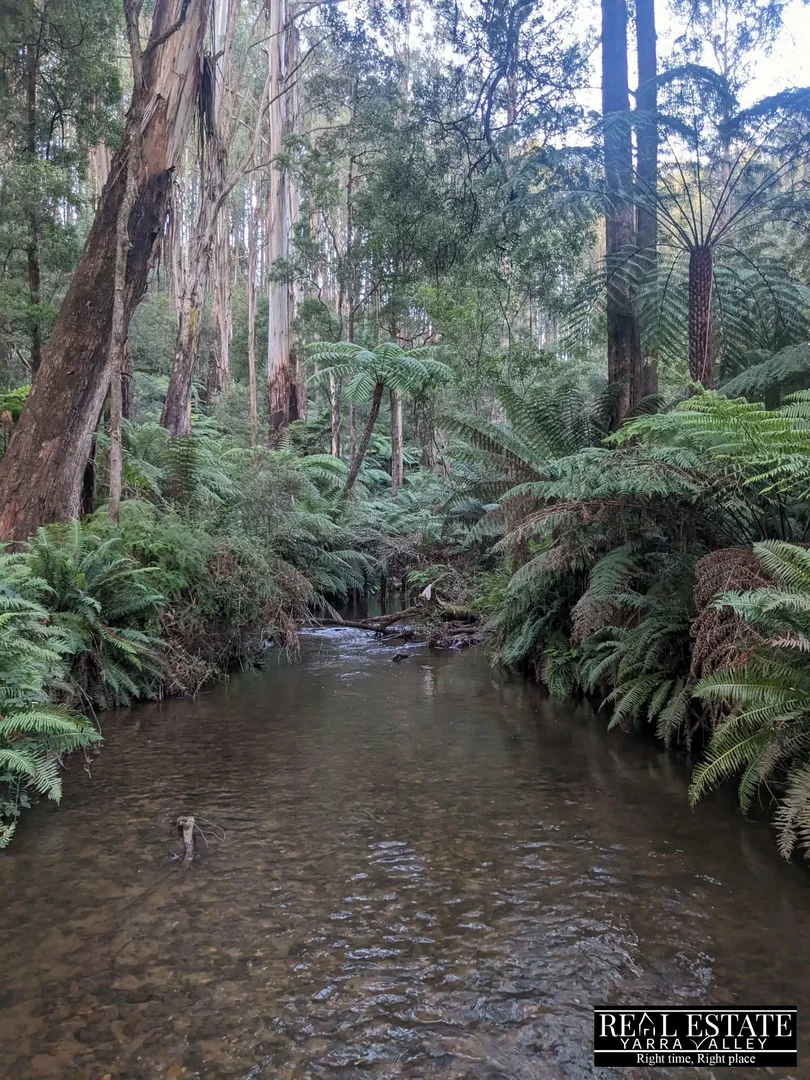 Image 36