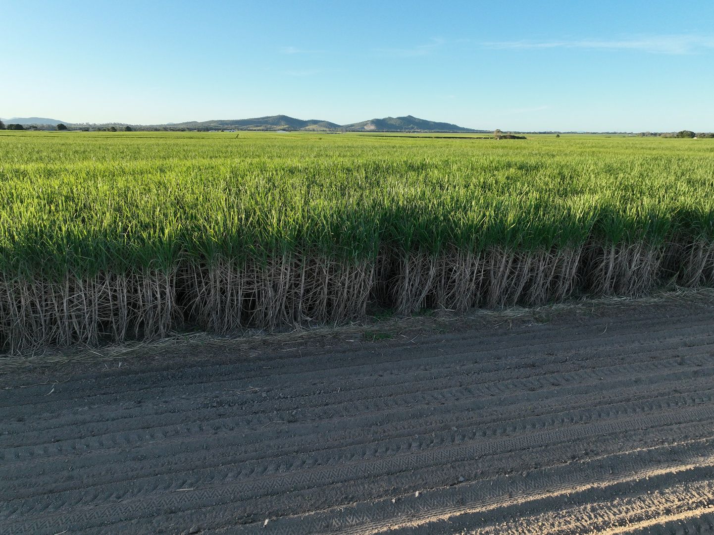 Oakenden QLD 4741, Image 2