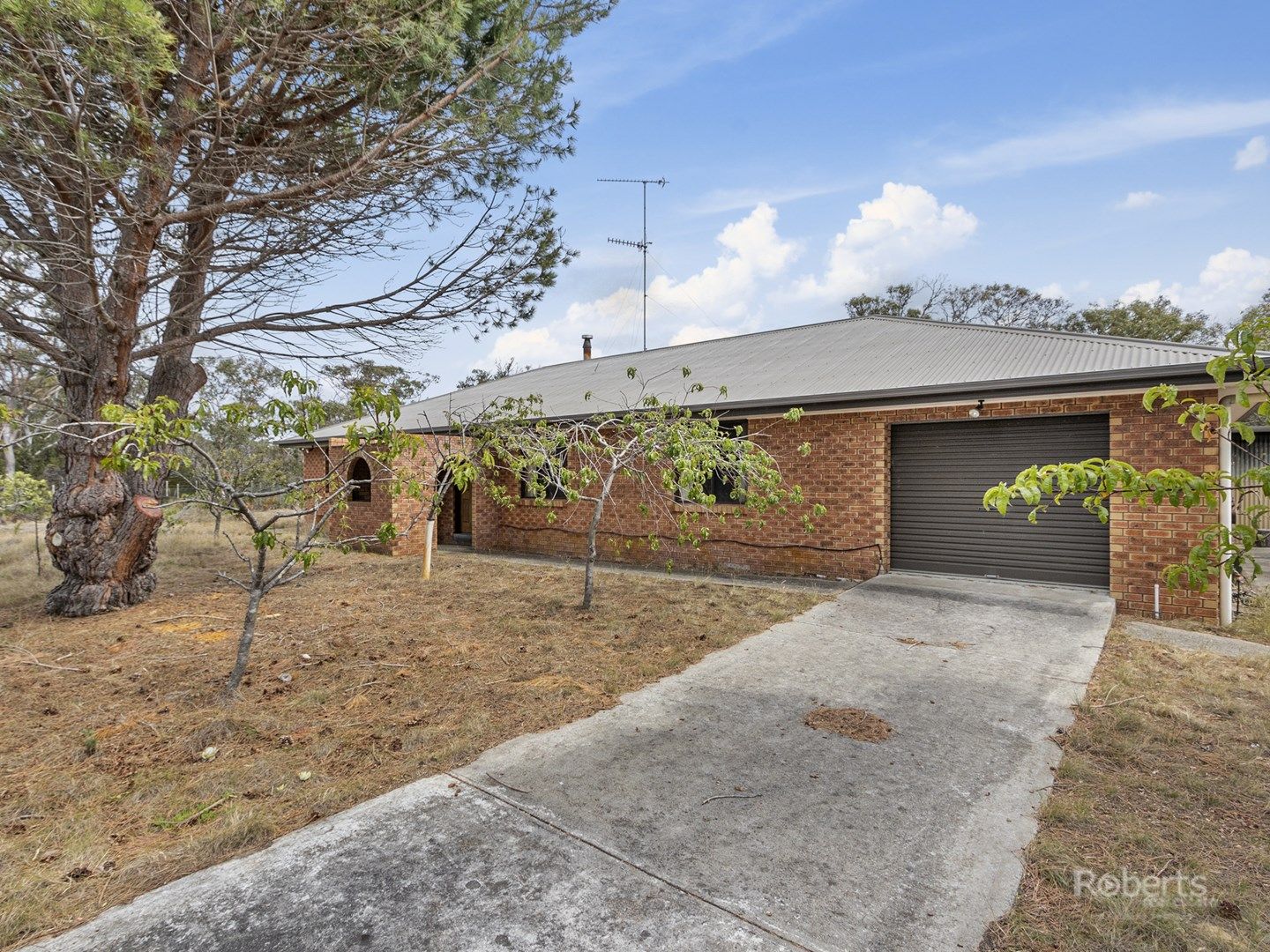 291 Dolphin Sands Road, Dolphin Sands TAS 7190, Image 0