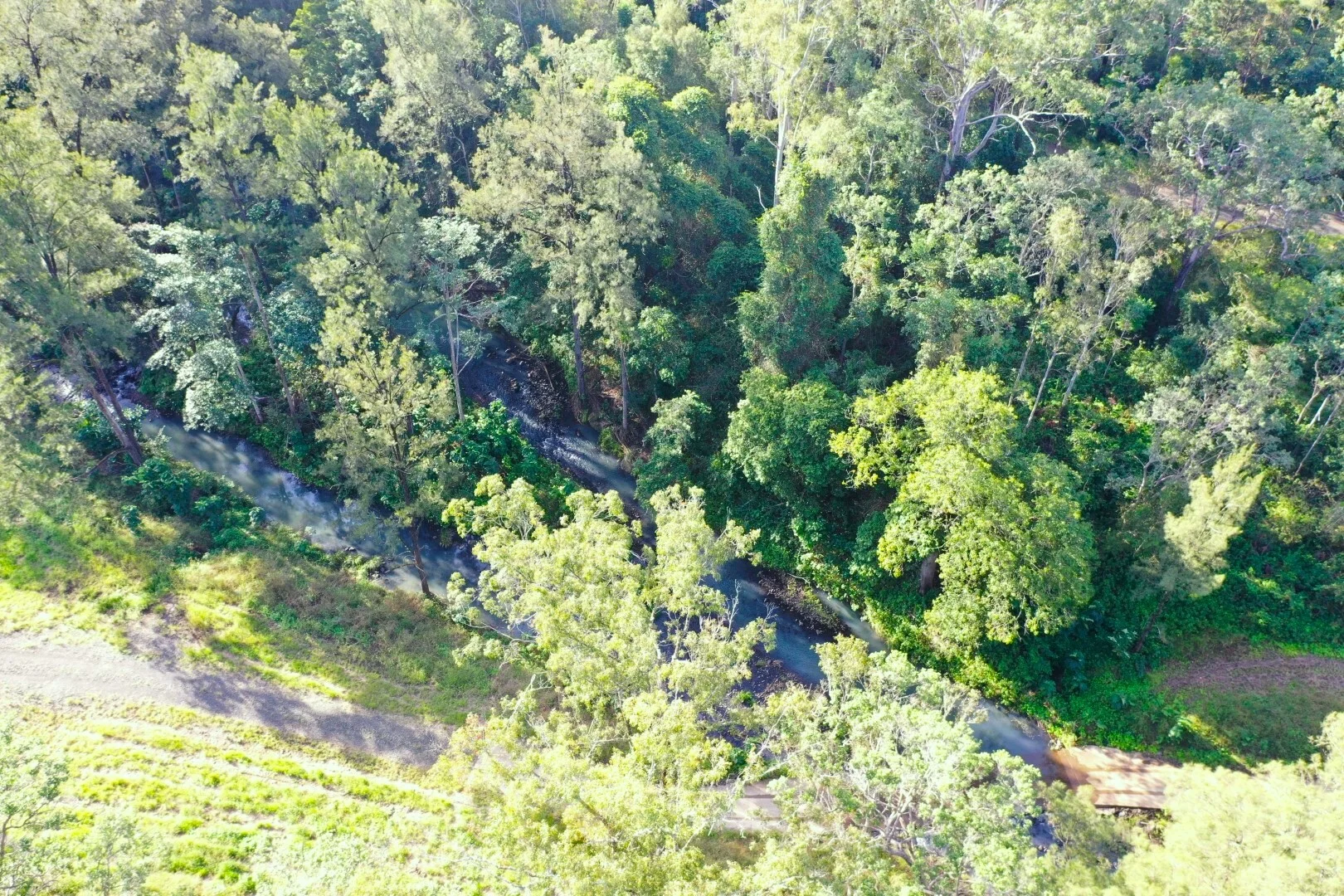 Image 13
