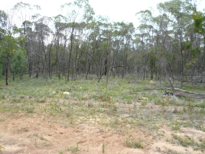 LOT 22 CYPRESS ROAD, Daandine QLD 4405, Image 0