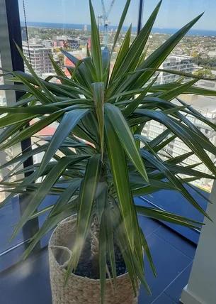 Additional image 11 of 2204/22 Dorcas Street, Southbank VIC 3006