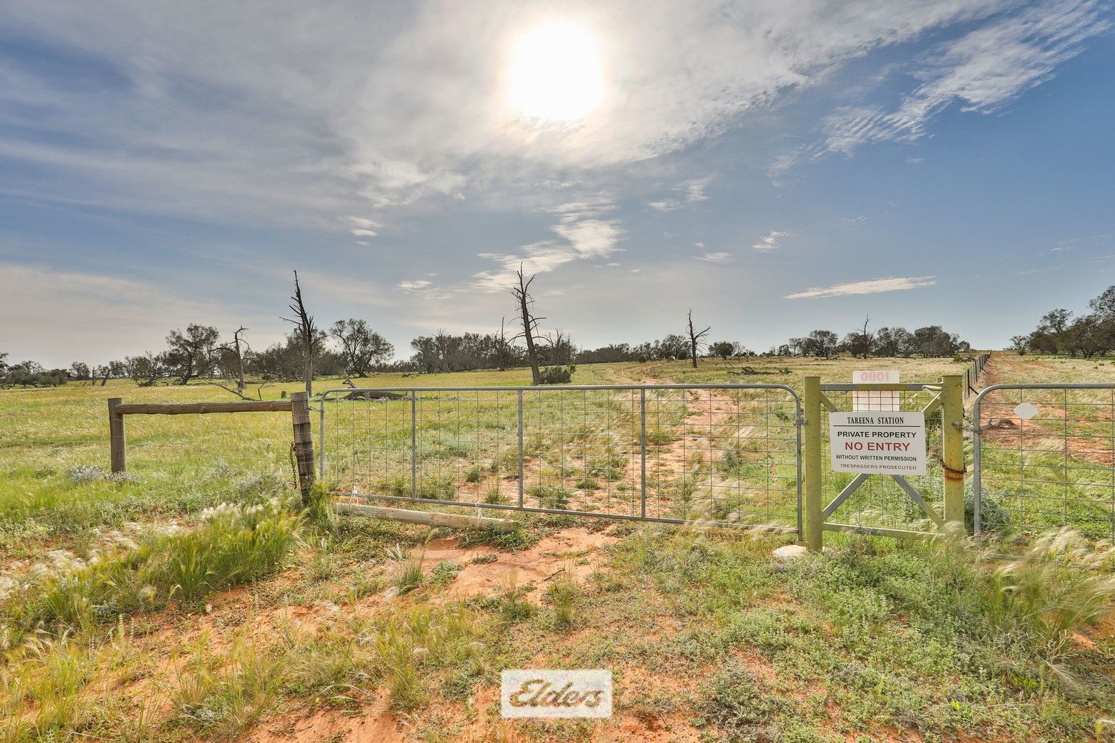 Tareena Station, Renmark Road, Wentworth NSW 2648, Image 0