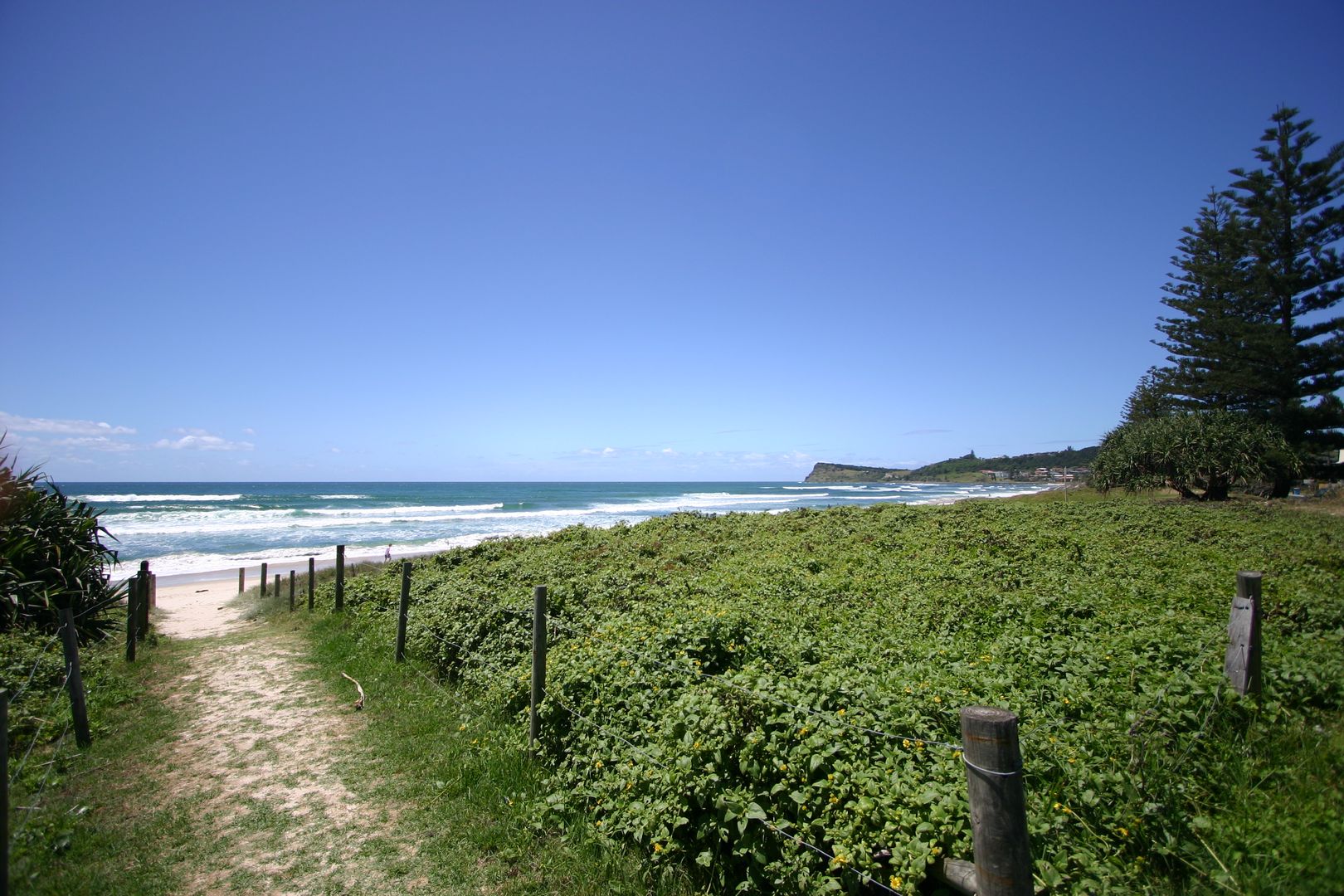 39 Stewart Street, Lennox Head NSW 2478 Studio For Rent Domain