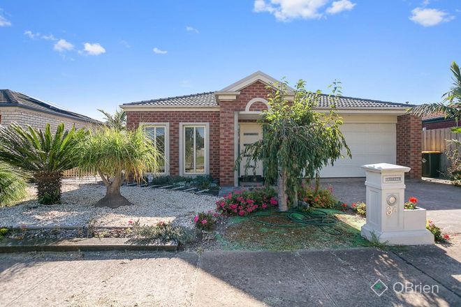 Picture of 3a Clifton Grove, CARRUM DOWNS VIC 3201