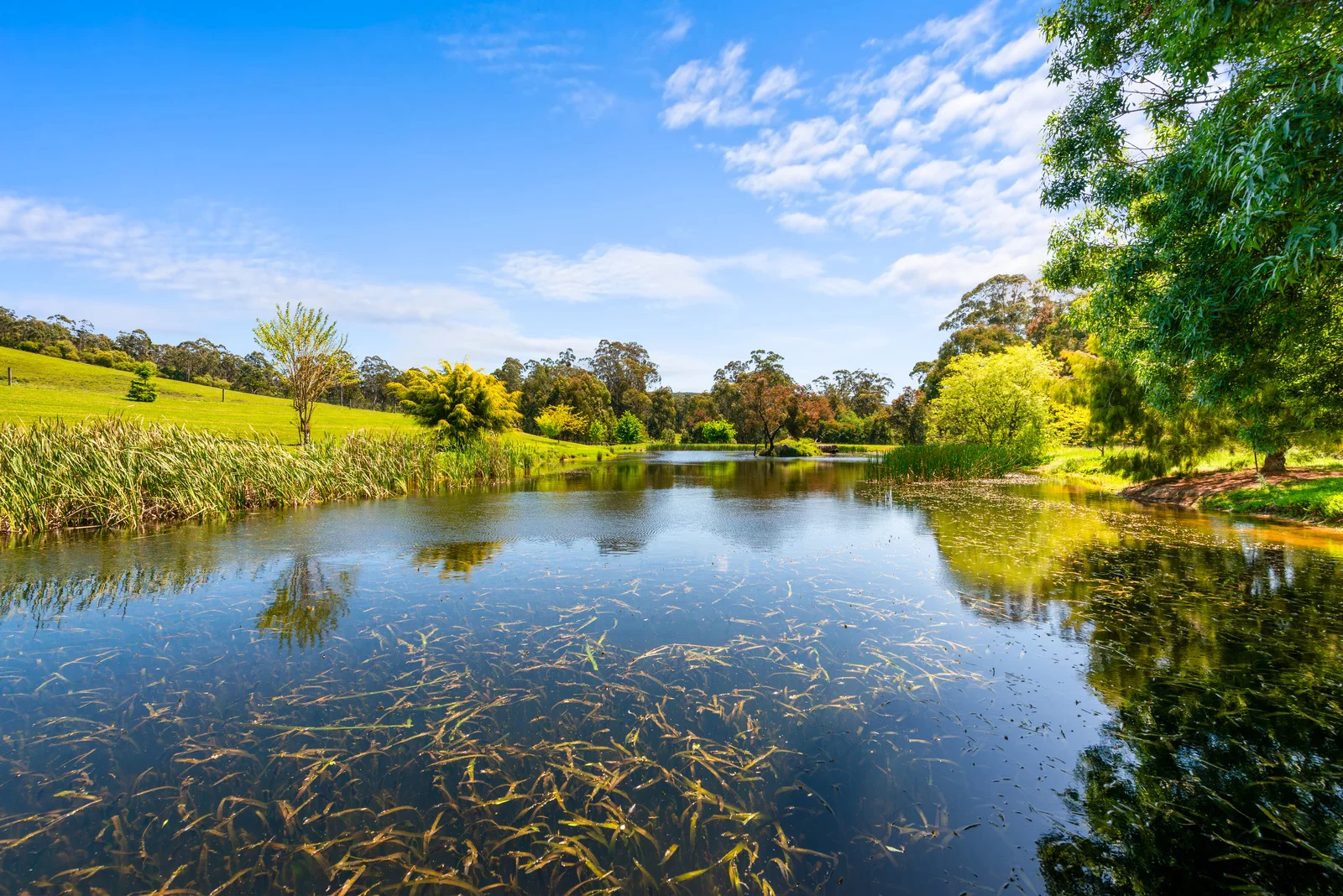 Additional image 27 of 1430 Traralgon Creek Road, Koornalla VIC 3844