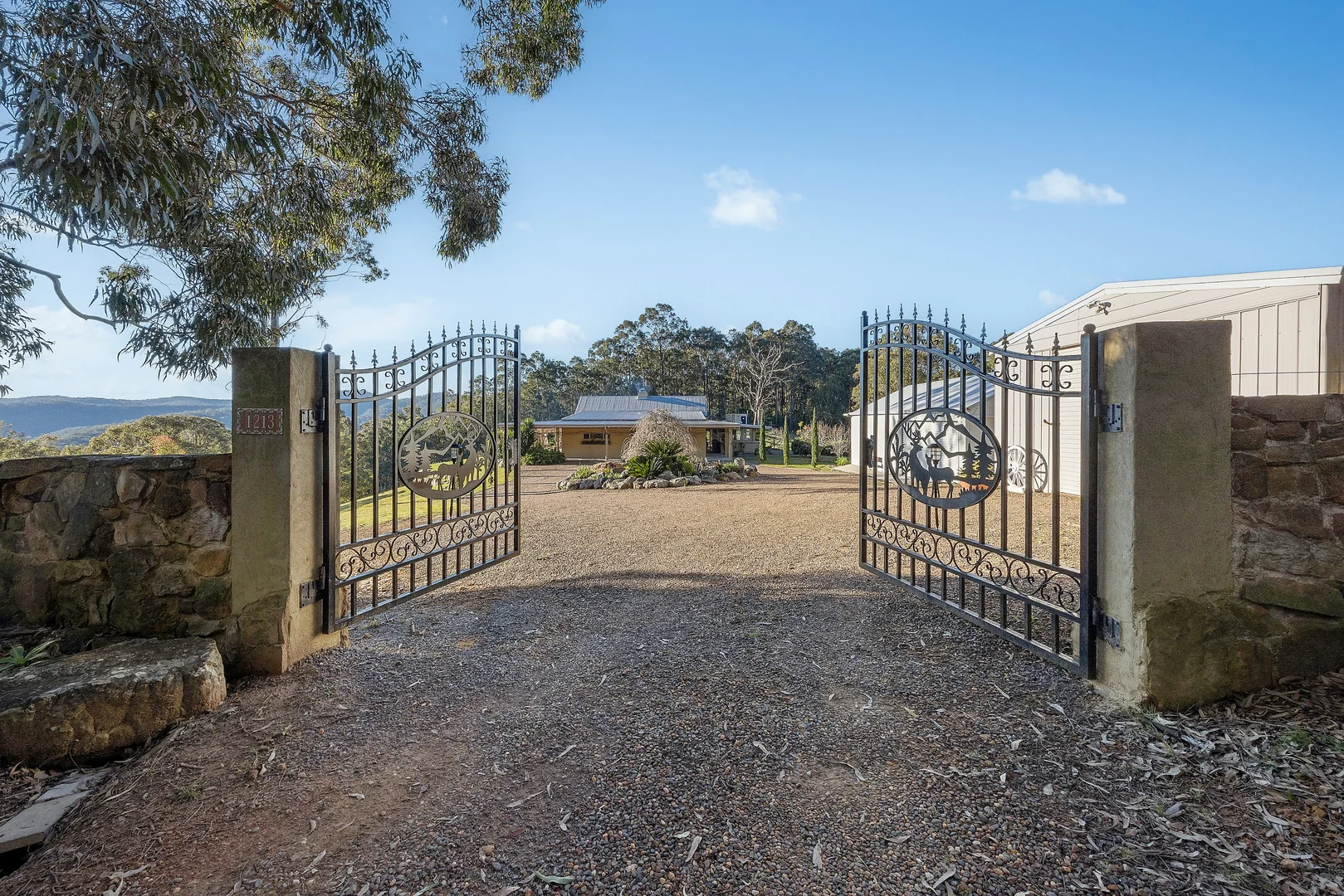 Image 15