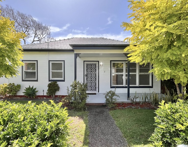 1 Ada Street, Waratah NSW 2298