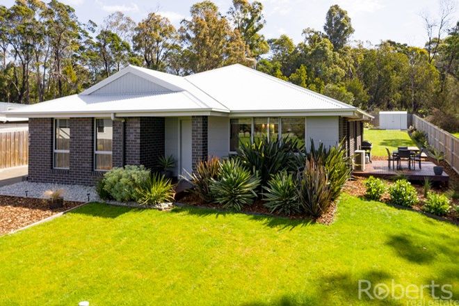 Picture of 439 Gravelly Beach Road, GRAVELLY BEACH TAS 7276