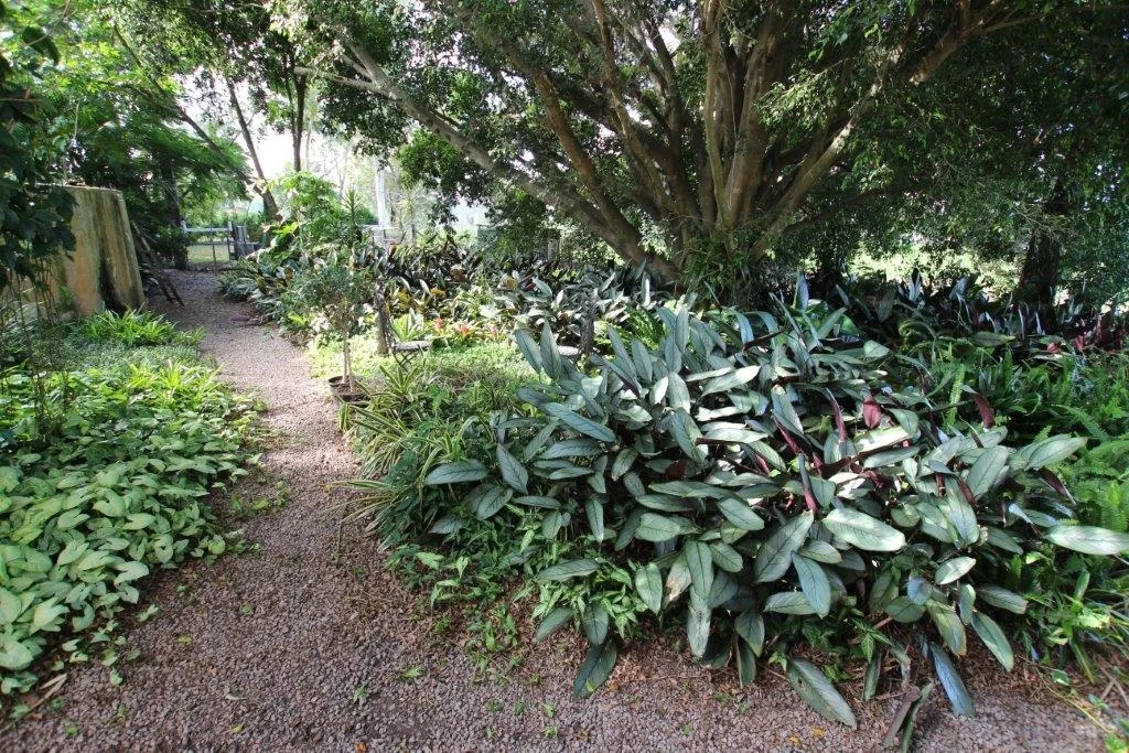 Image 53