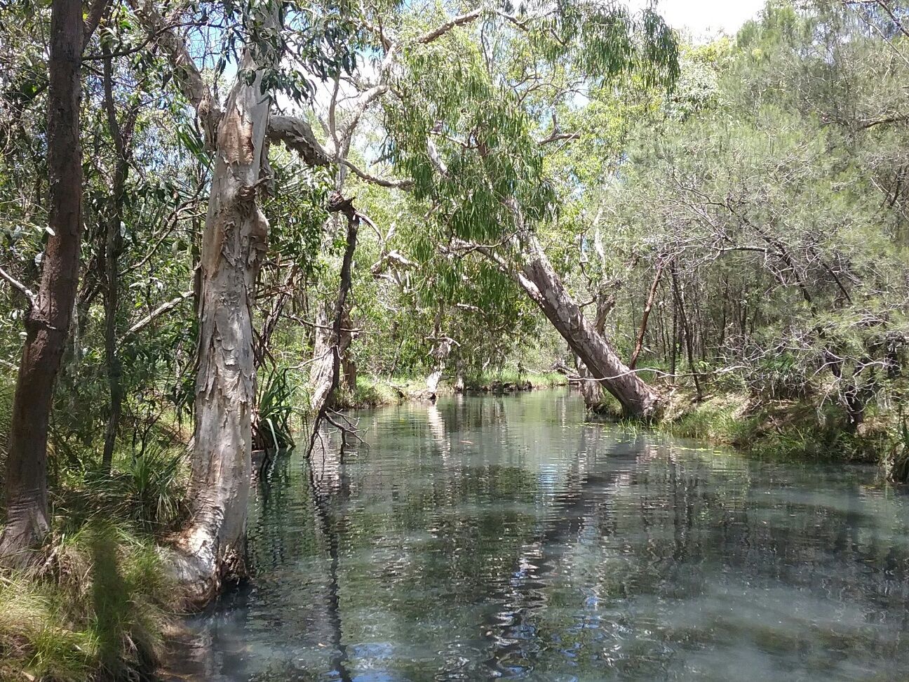 Lot 22 Howlands Road, Ilbilbie Property History & Address Research