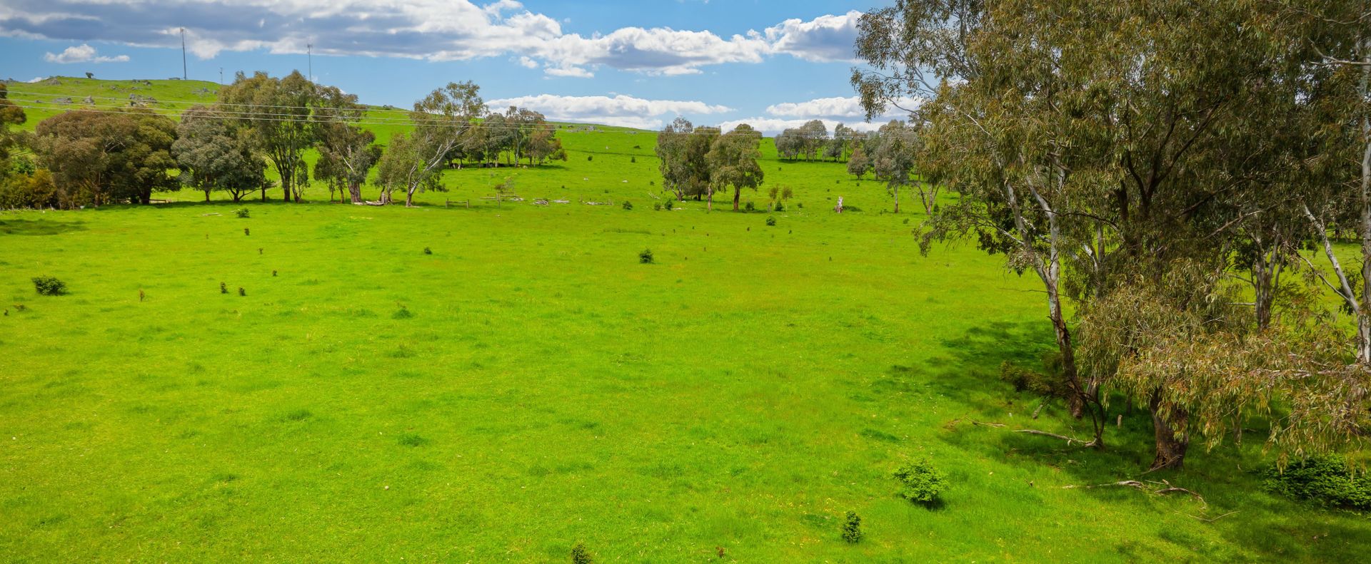 Donaldson Street, Corryong VIC 3707, Image 1