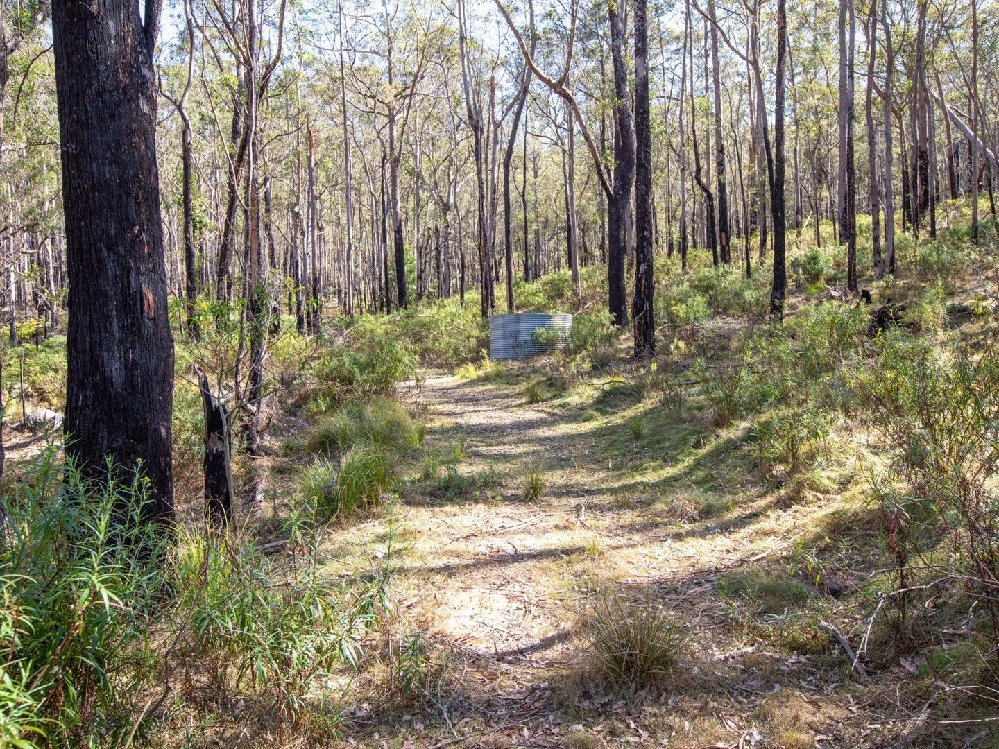 798 Yankees Gap Road, Bemboka NSW 2550, Image 0