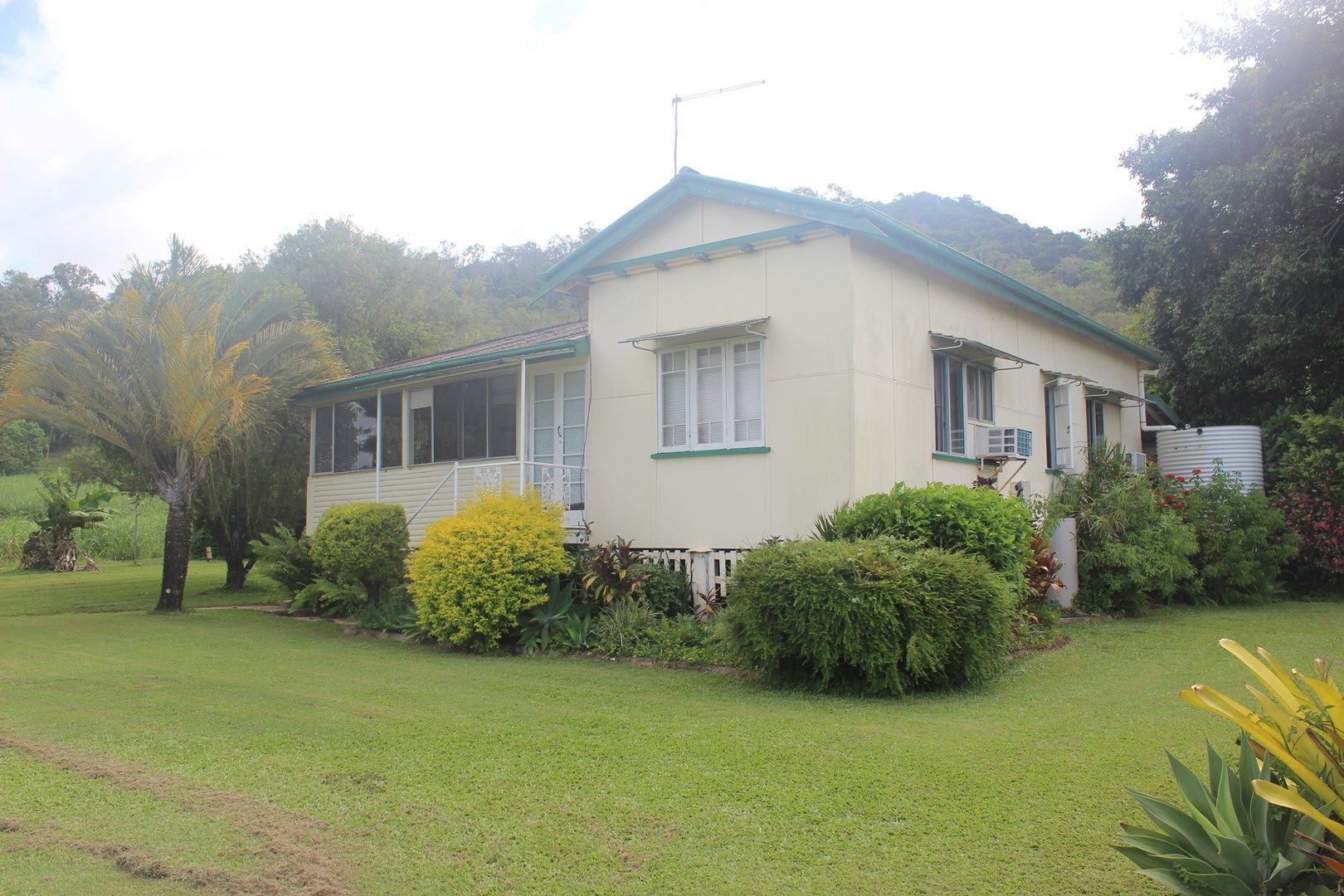 100 Whitakers Road, Sarina QLD 4737 Farm for Sale 77.72 ha