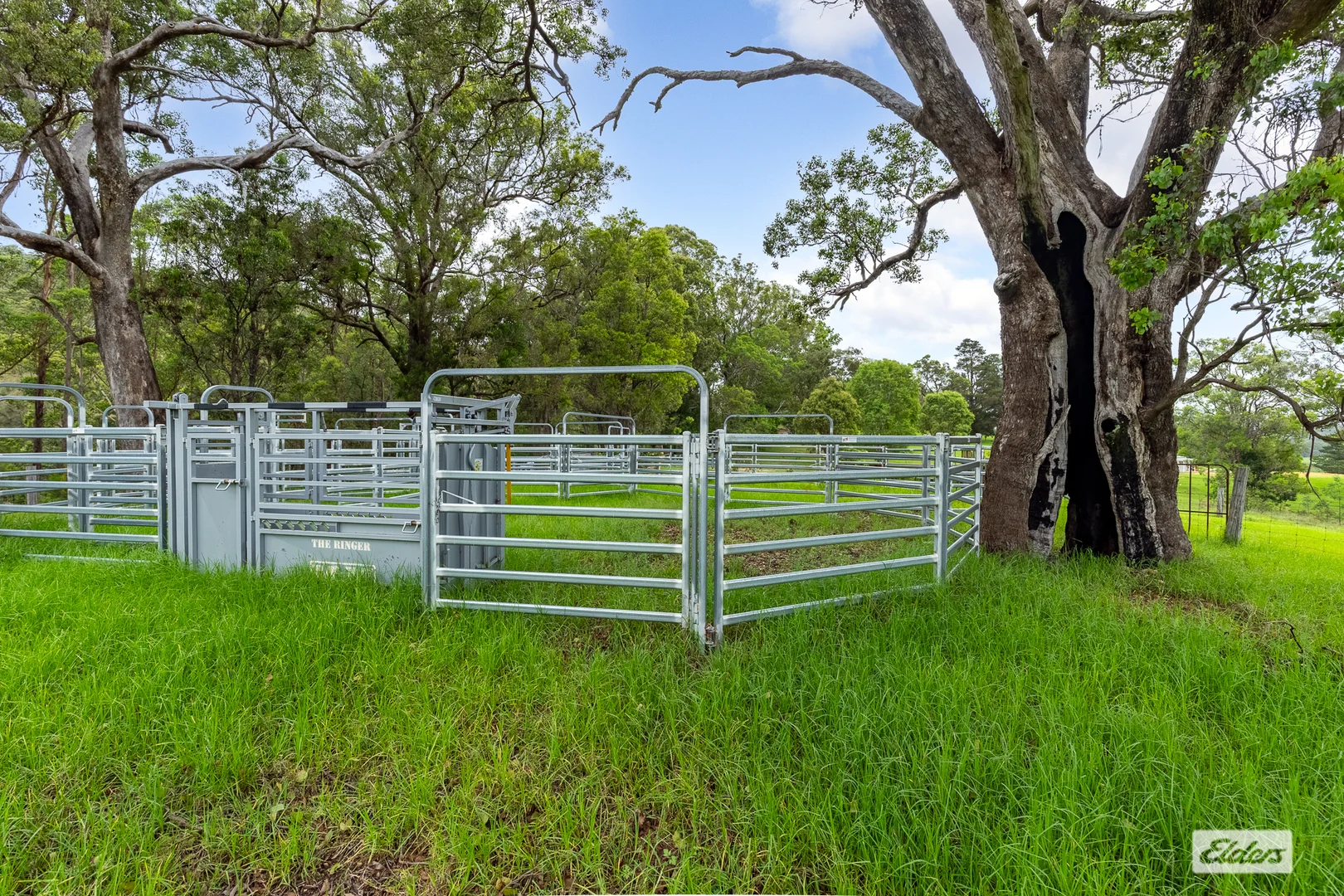 Additional image 10 of 50 House Creek Road, Brogo NSW 2550