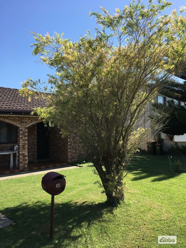 30 Belbowrie Parade, Maloneys Beach NSW 2536 House For Rent Domain