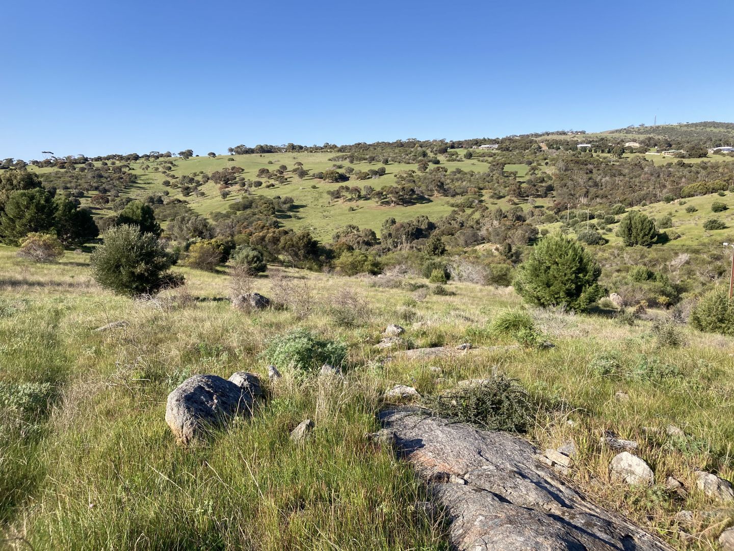 Lot 201 Stinky Creek Road, Tiatukia SA 5607, Image 1