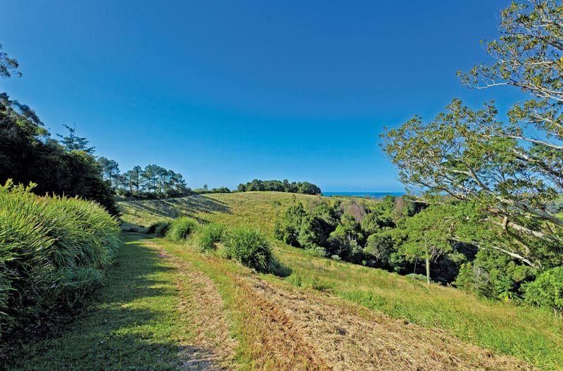 Lot 1 Pacific Highway, BANGALOW NSW 2479, Image 2