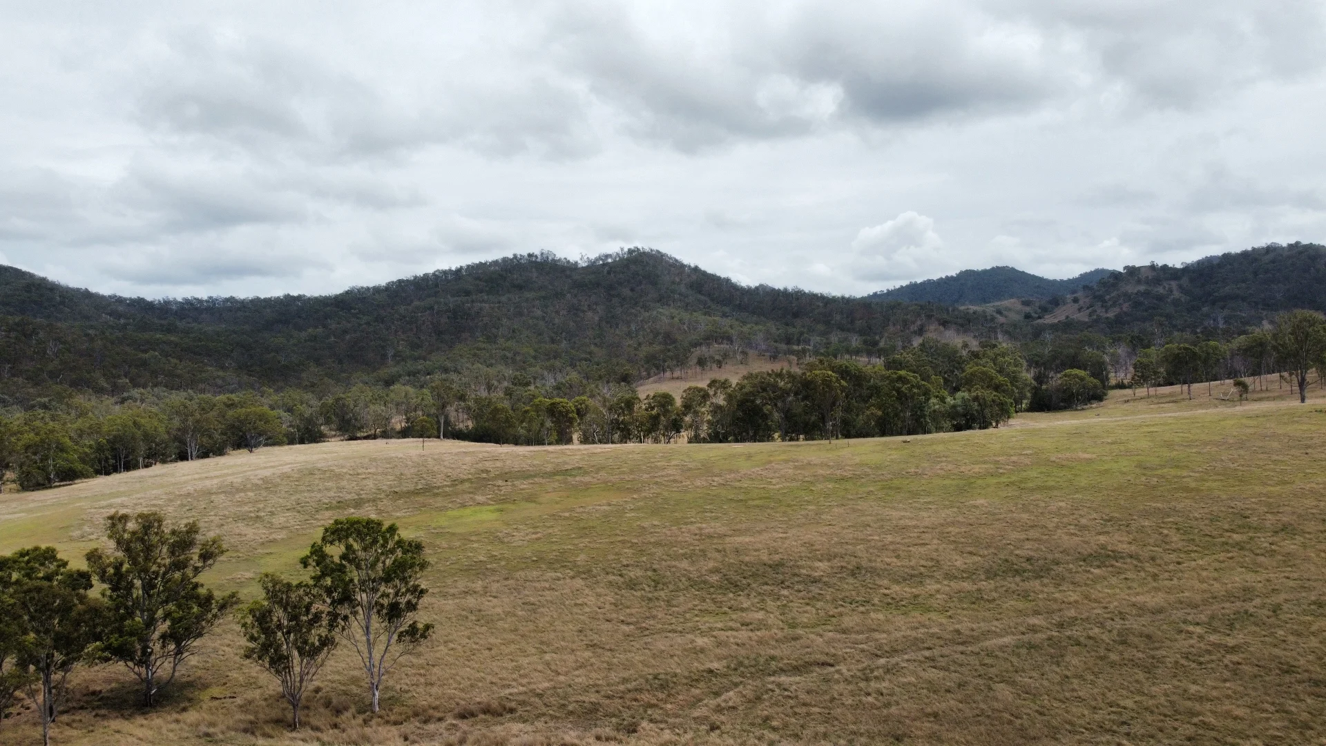 Image 30