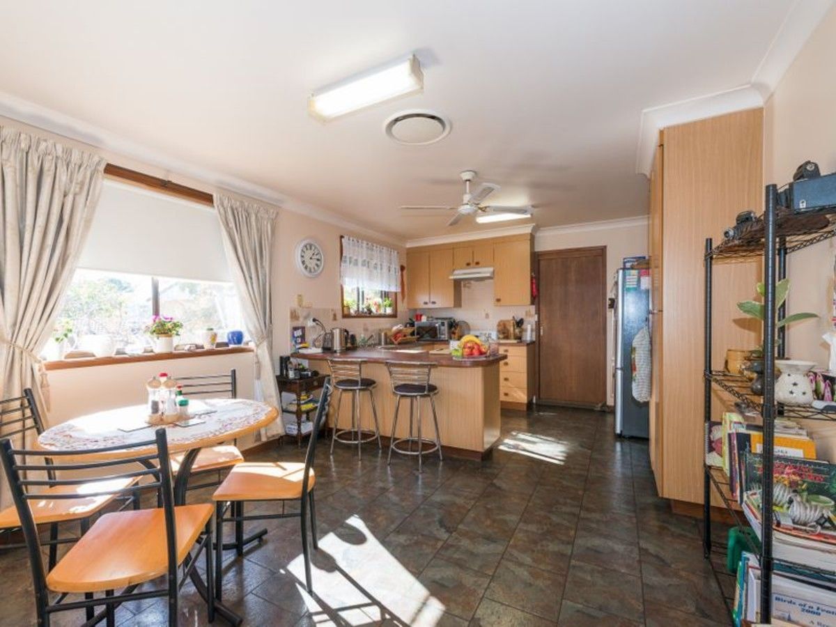 2/113 Rawson Avenue, East Tamworth NSW 2340, Image 2