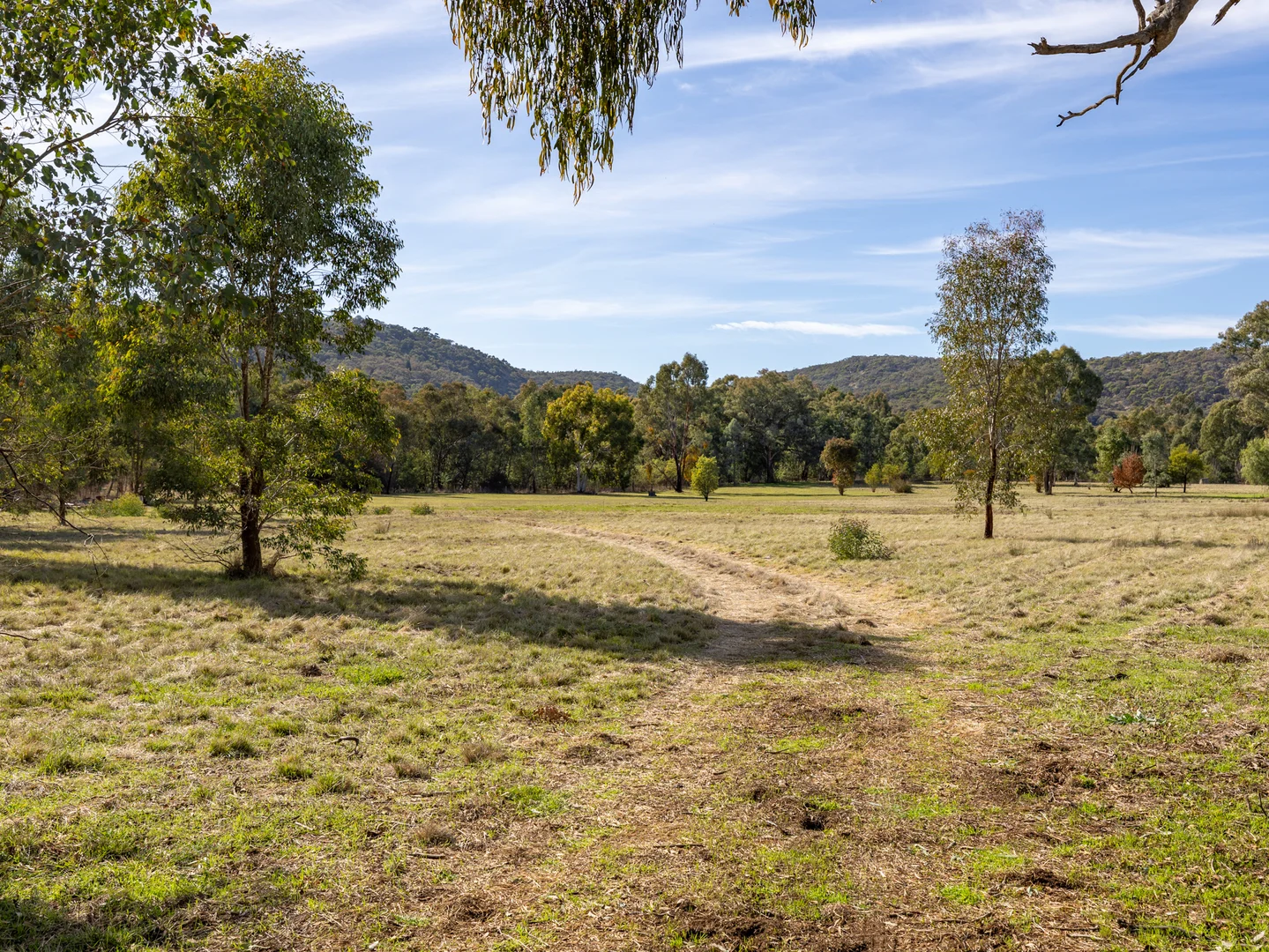 Image 13
