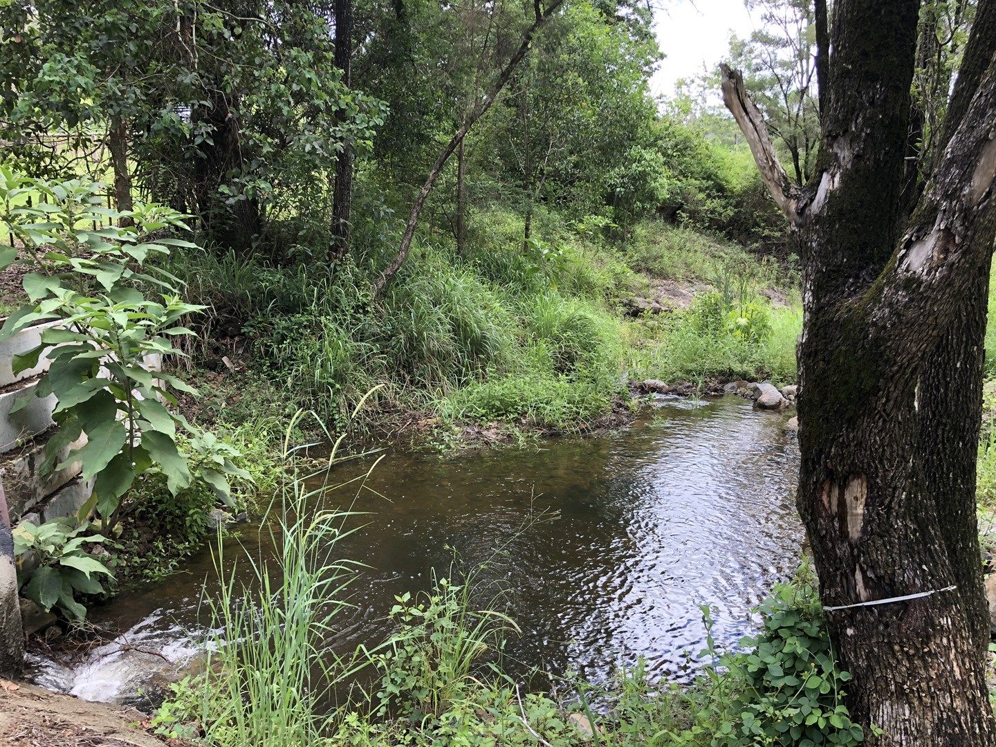 Wirth Road, Laceys Creek QLD 4521, Image 1