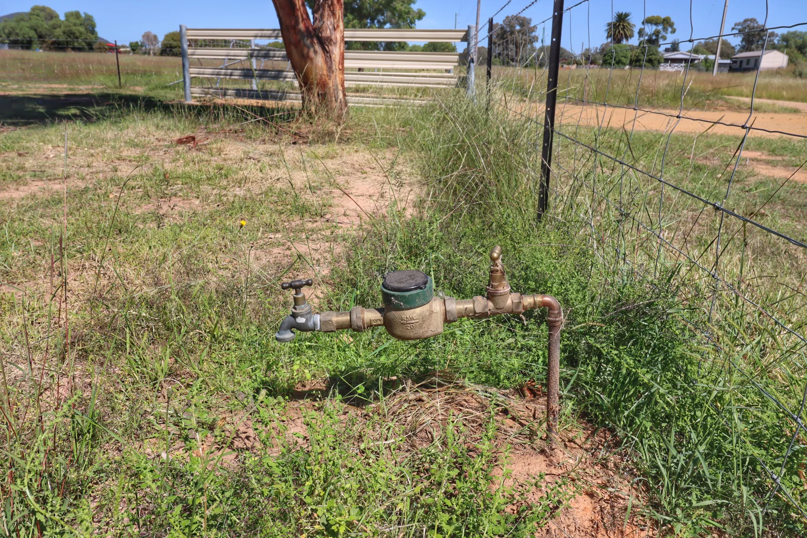 Additional image 6 of 138 Cowra Street, Koorawatha NSW 2807