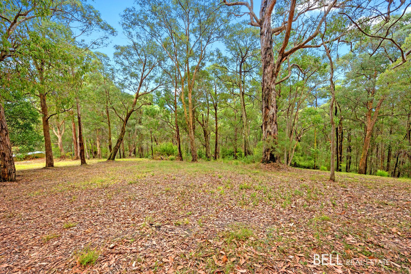 3 Summit Close, East Warburton VIC 3799, Image 1