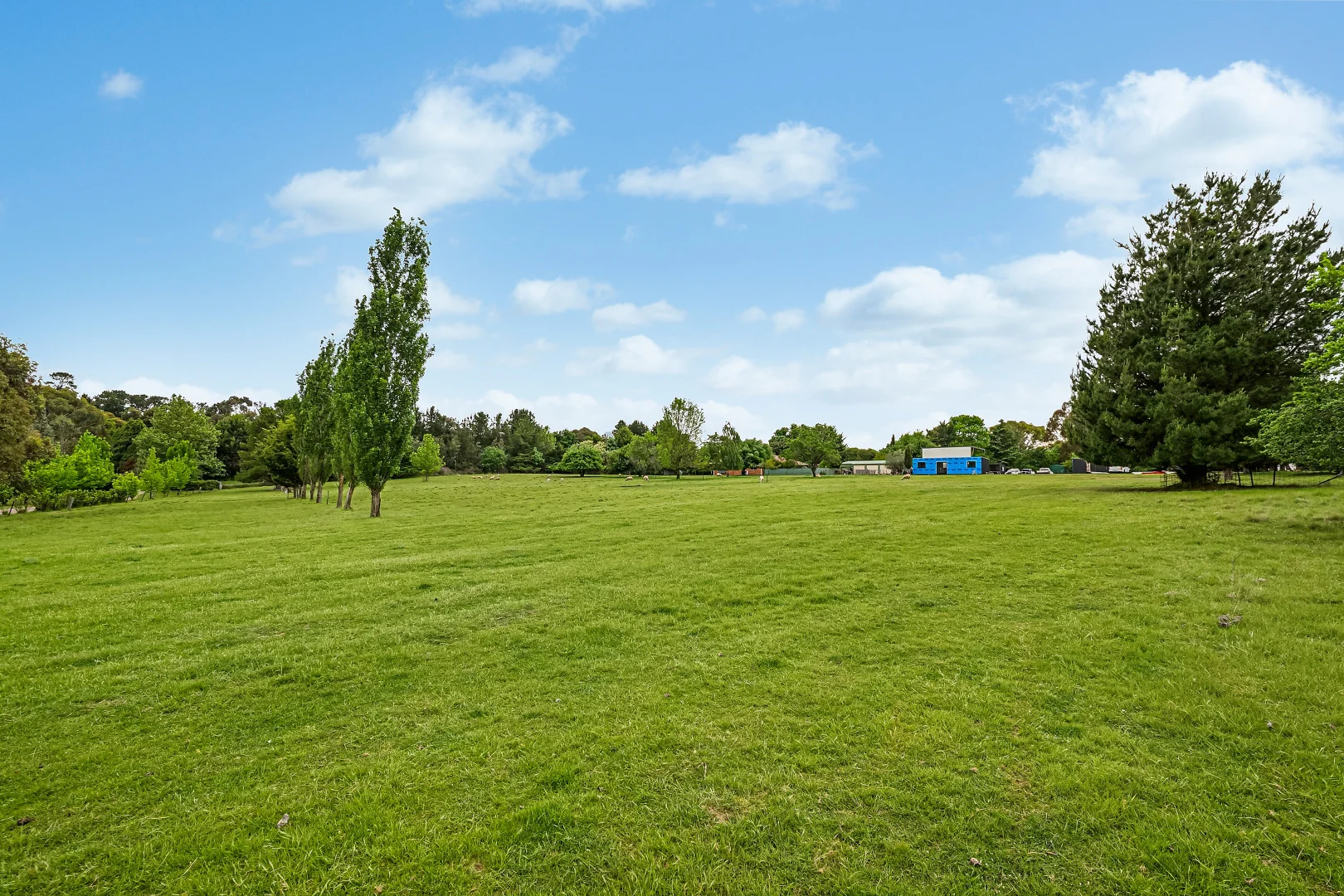 Image 17
