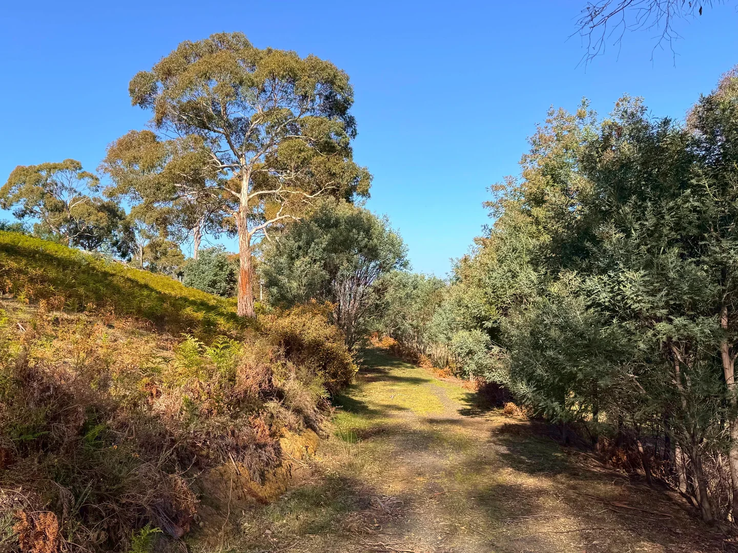 Image 15