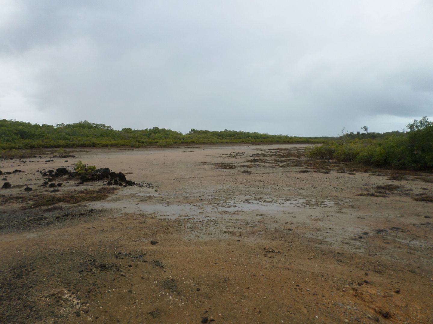 Lot 483 Mathers Creek Road, Mount Ossa QLD 4741 House for Sale