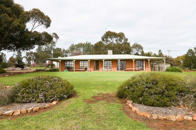 Picture of 290 Tabain Road, LEETON NSW 2705