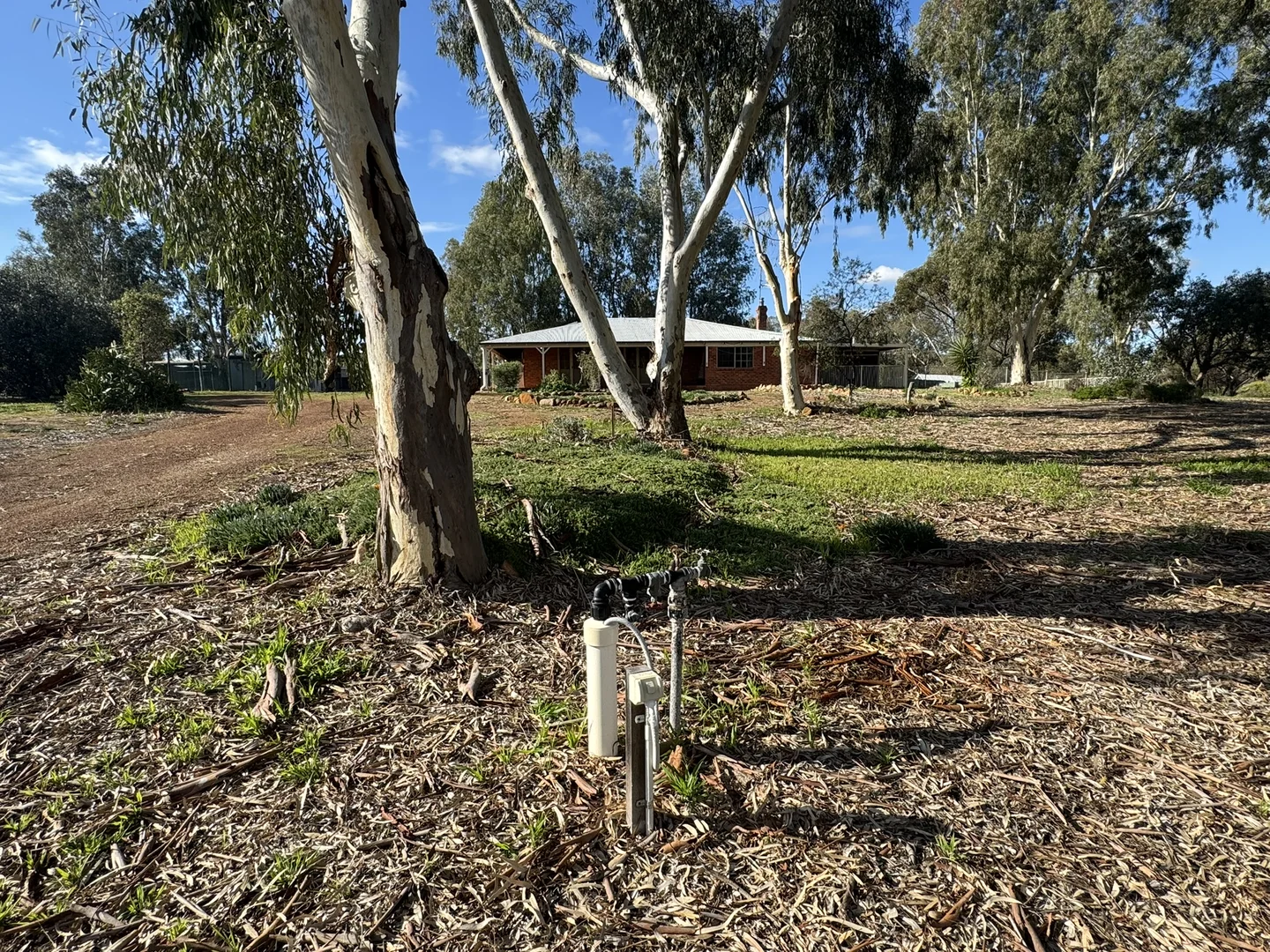 Image 25