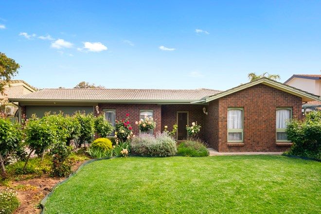 Picture of 40 Parsons Street, MARION SA 5043