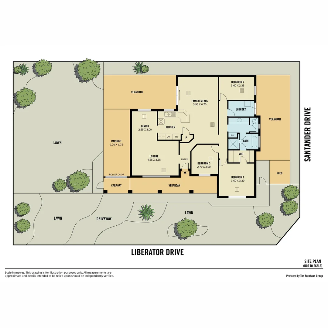Image 21