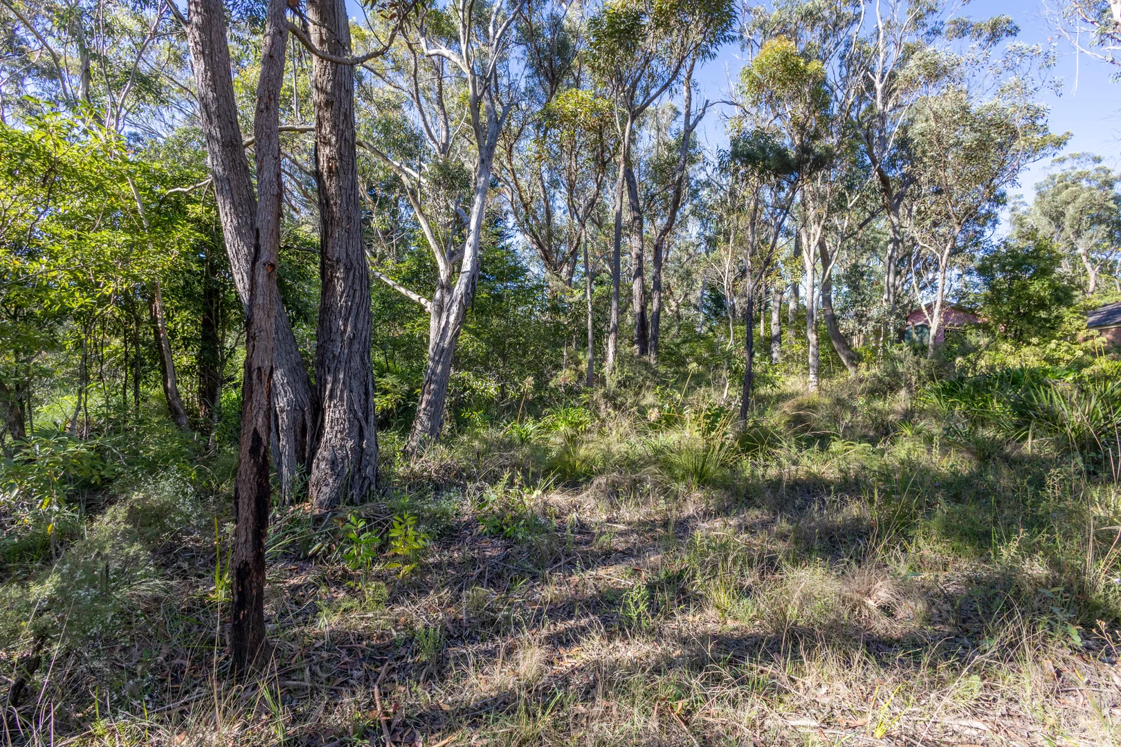 Additional image 9 of 23 Lurline Street, Wentworth Falls NSW 2782