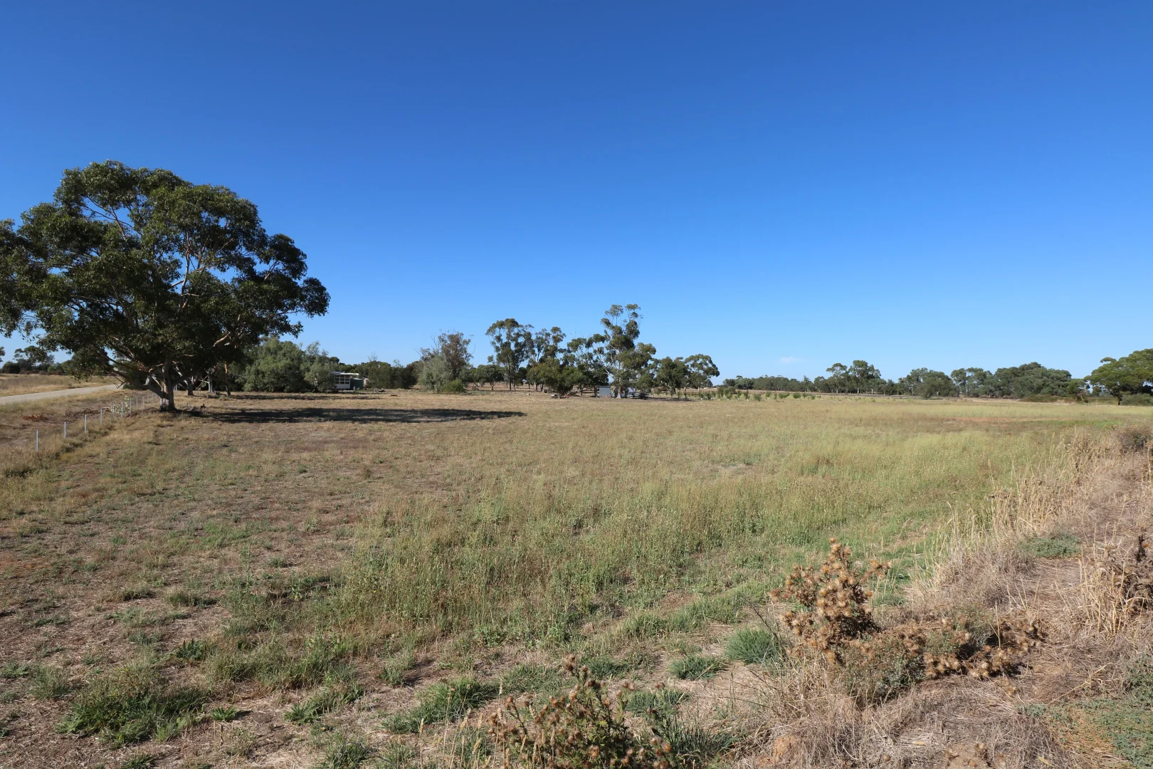Image 25