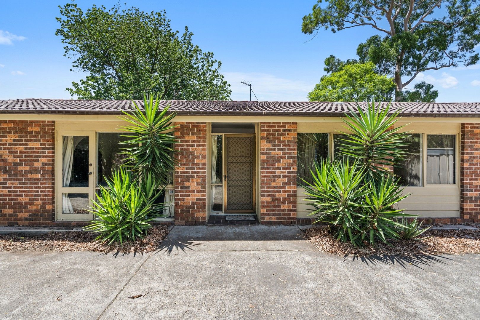 4 bedrooms House in 15A Turanville Avenue MUSWELLBROOK NSW, 2333