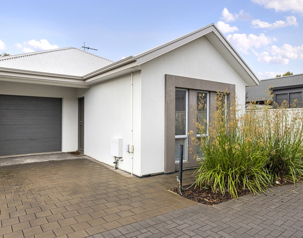 5 Shearing Street, Oaklands Park SA 5046