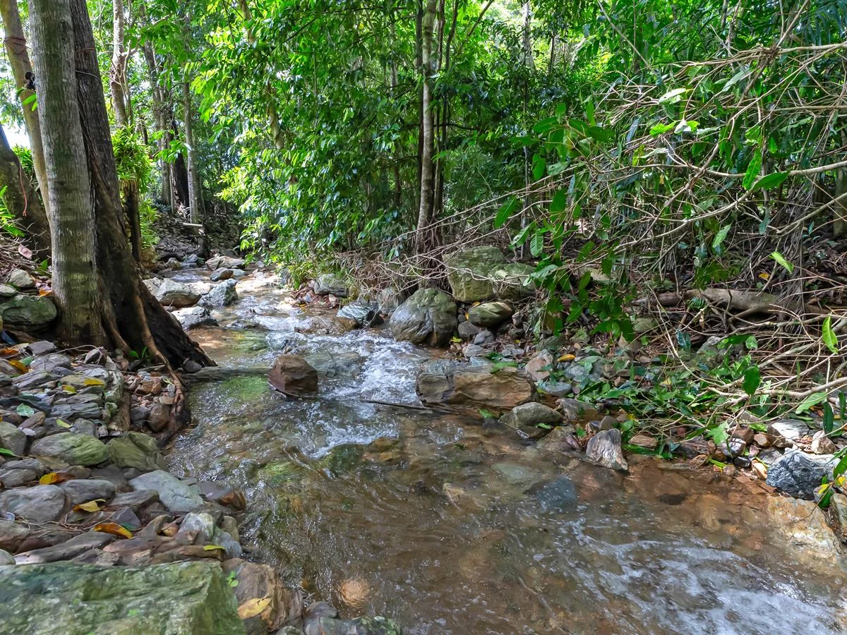 Additional image 27 of 13 Java Court, Redlynch QLD 4870