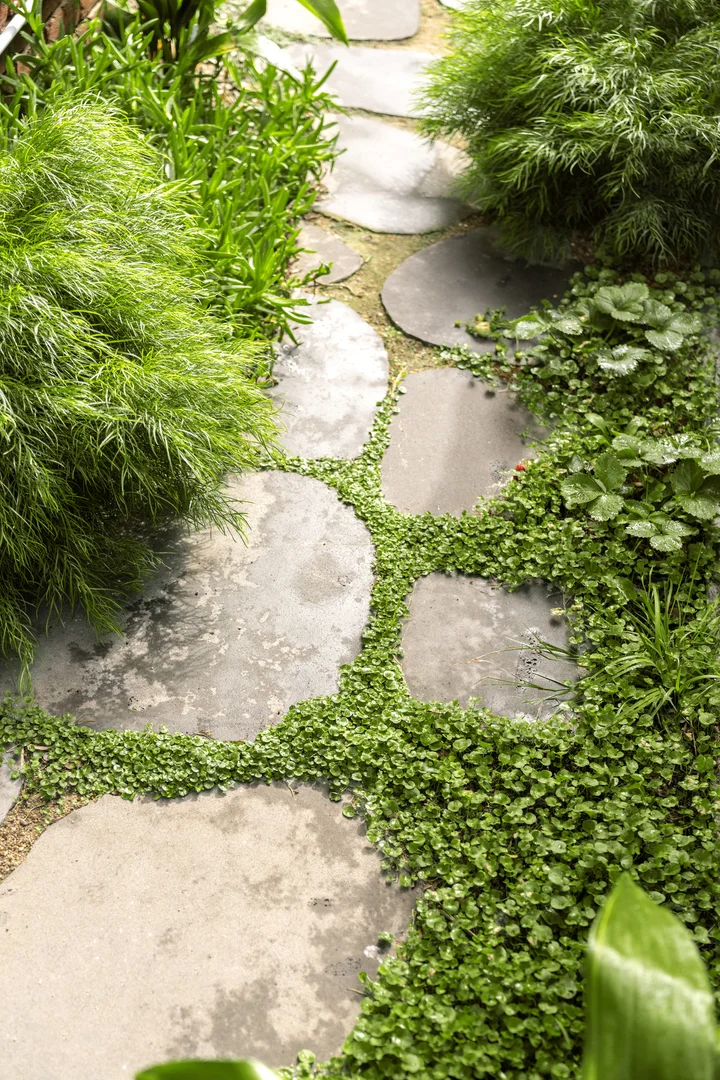 Additional image 17 of 449 Albert Street, Brunswick VIC 3056