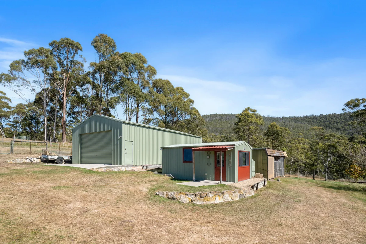 Image 22