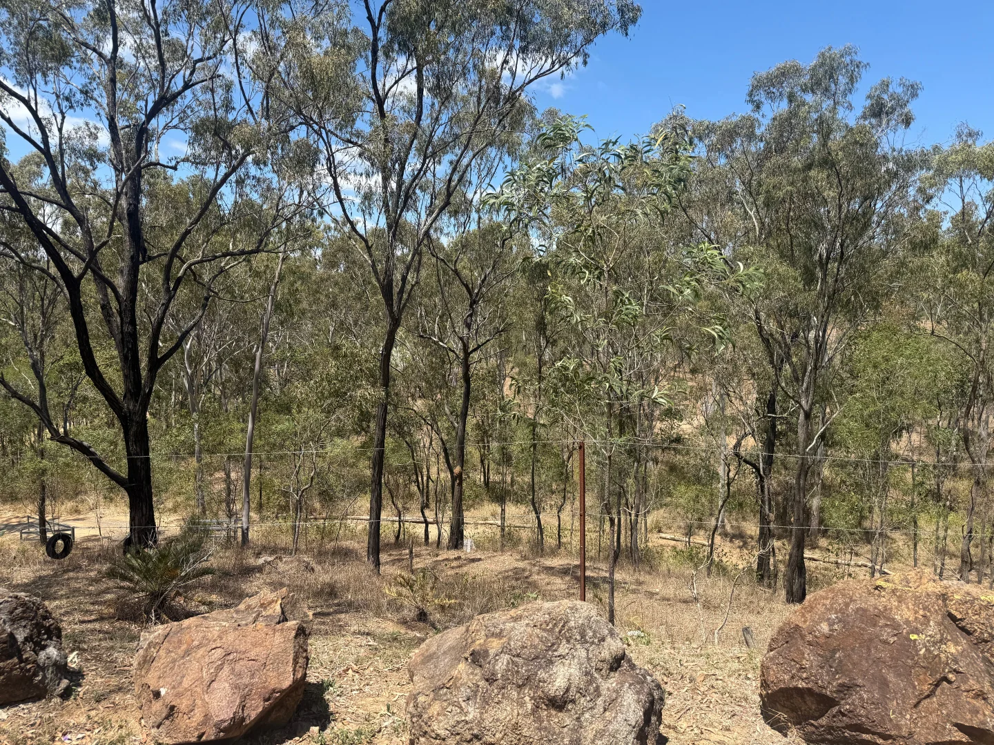 Image 23