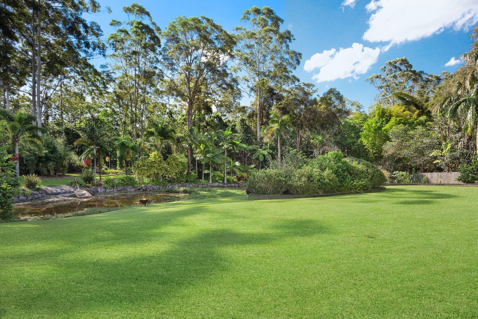 31 Cardinal Court, Palmwoods QLD 4555, Image 1