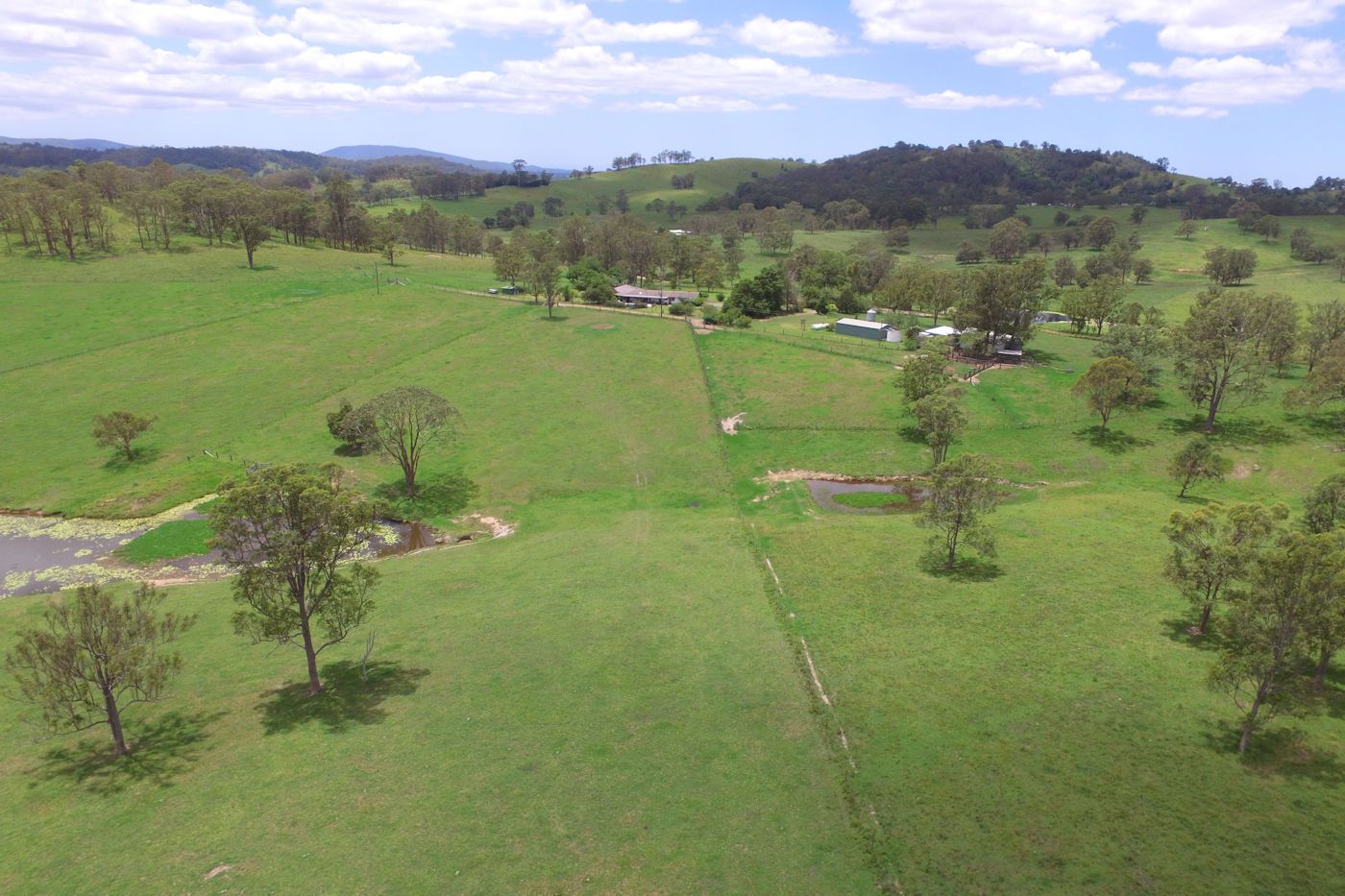 494 Bunyah Rd, Firefly NSW 2429, Image 2