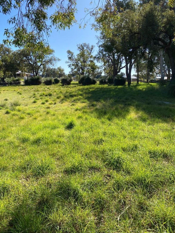 6 Bushel Road, Serpentine WA 6125, Image 1