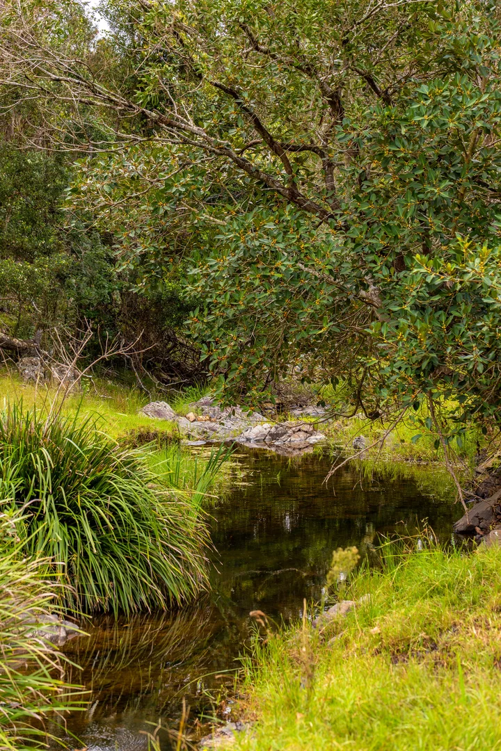 Additional image 2 of L25/507 Stony Creek Road, Kimbriki NSW 2429