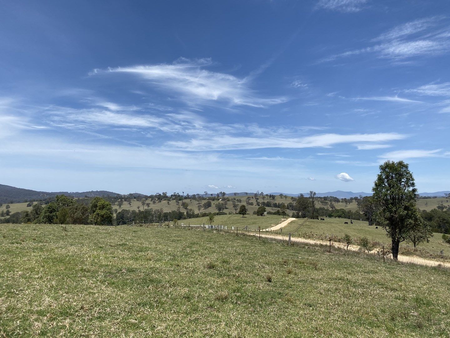 Lot 3 Greendale Road, Bega NSW 2550, Image 0