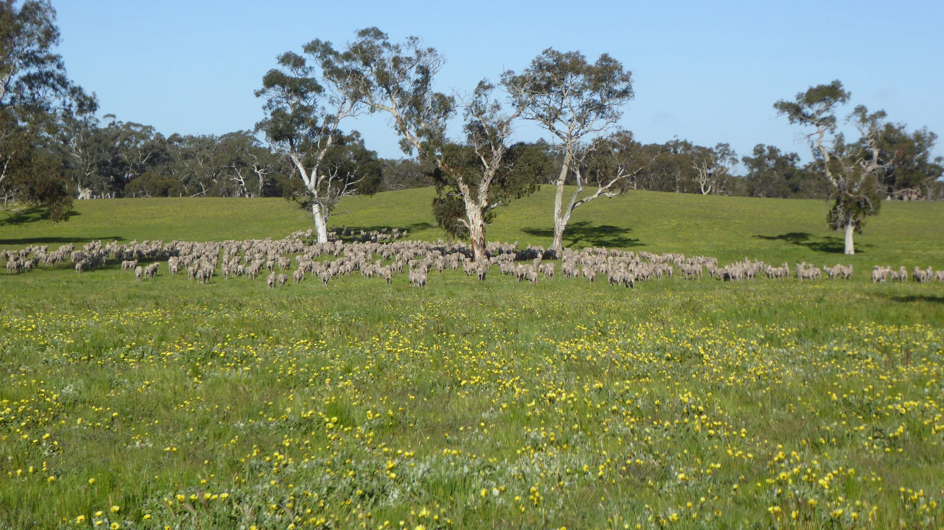 Image 18